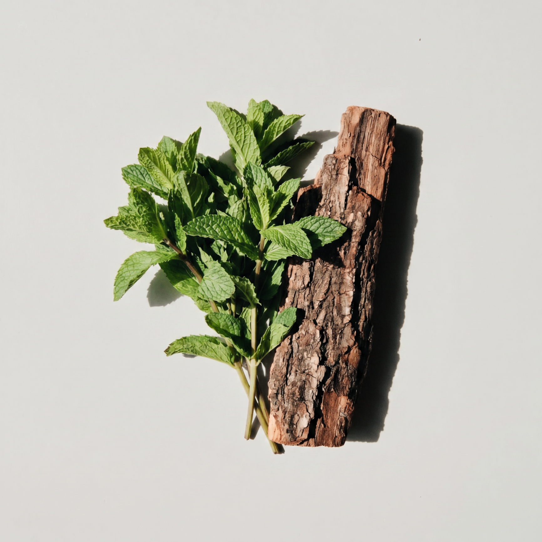 Peppermint & Dark Cedar